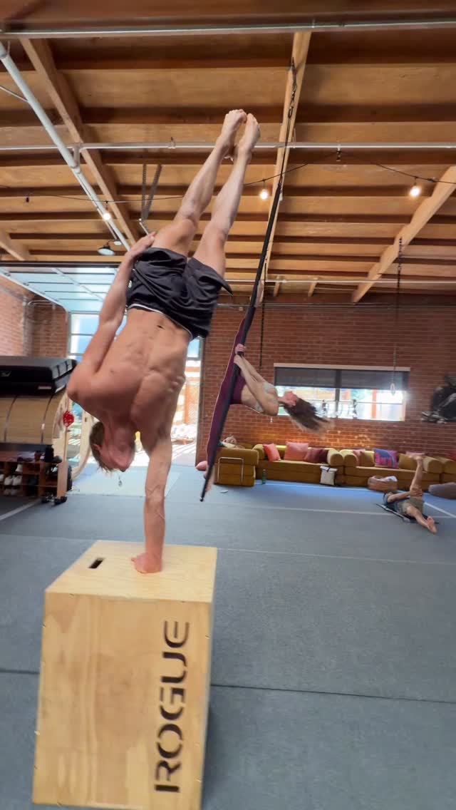 Training at Primal Moves Venice