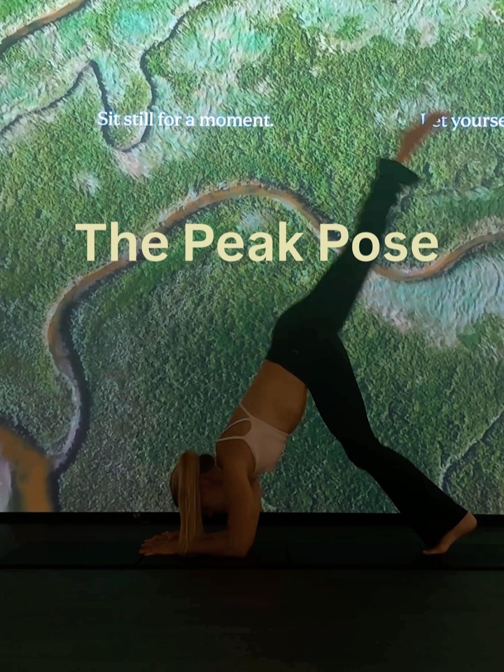 Earning the forearm stand